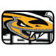 Toronto Vipers